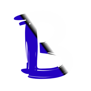 Bscholarly