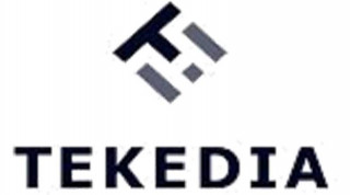 Tekedia Capital
