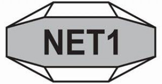 Net1 UEPS Technologies